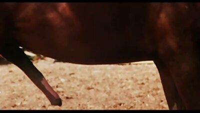 छोटे किशोर लड़की के लिए काले लड़के की कोई सेक्सी हिंदी फुल मूवी दया नहीं है